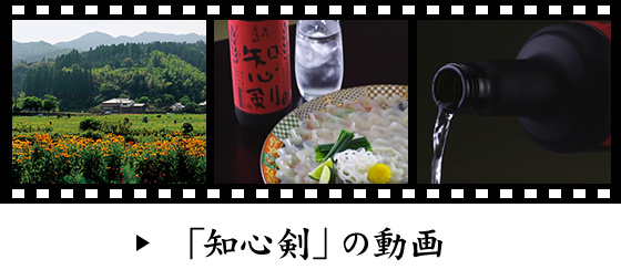 知心剣とは | 商品紹介 | 本格麦焼酎「知心剣（しらしんけん）」